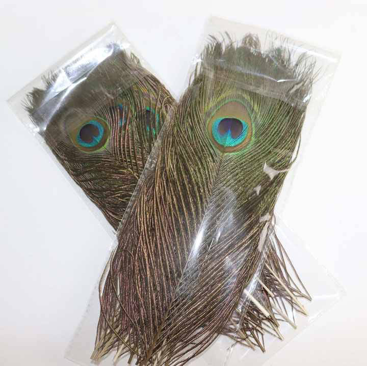 Pfauenfedern 10er-Packung