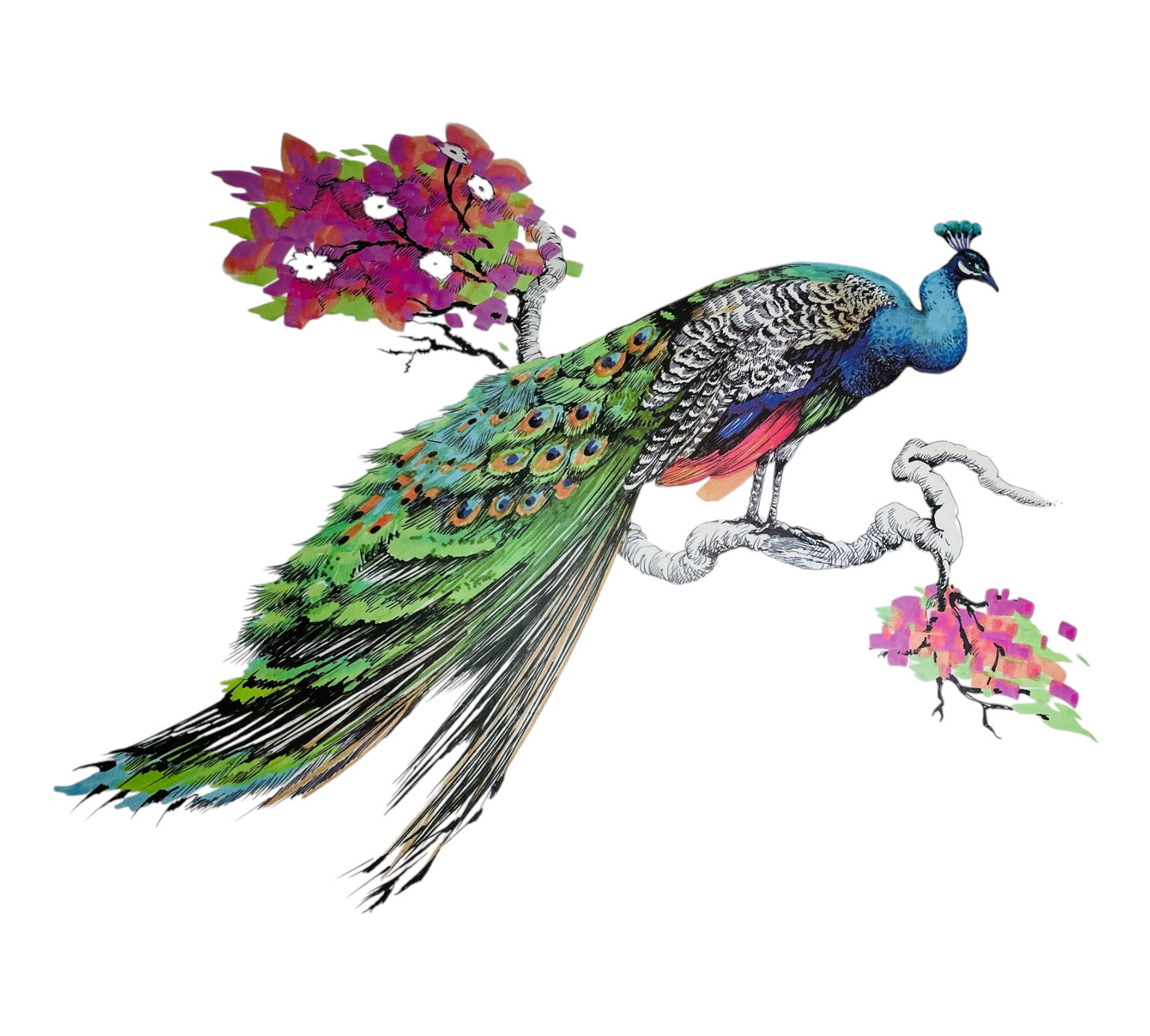 Pfau Wandaufkleber